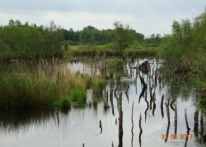 Stichting Veenloopcentrum Weiteveen