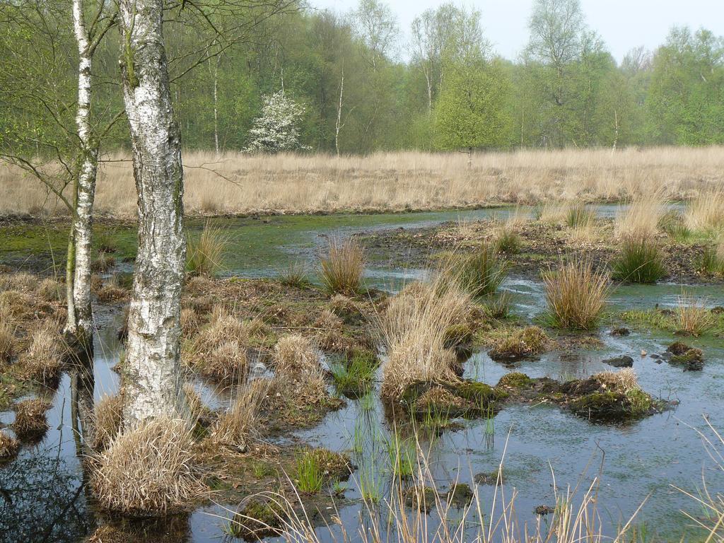 Bed & Breakfast Stichting Veenloopcentrum