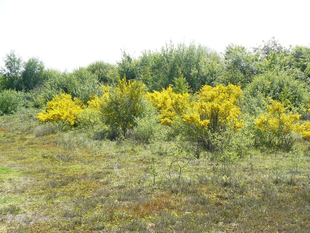 Stichting Veenloopcentrum * Weiteveen