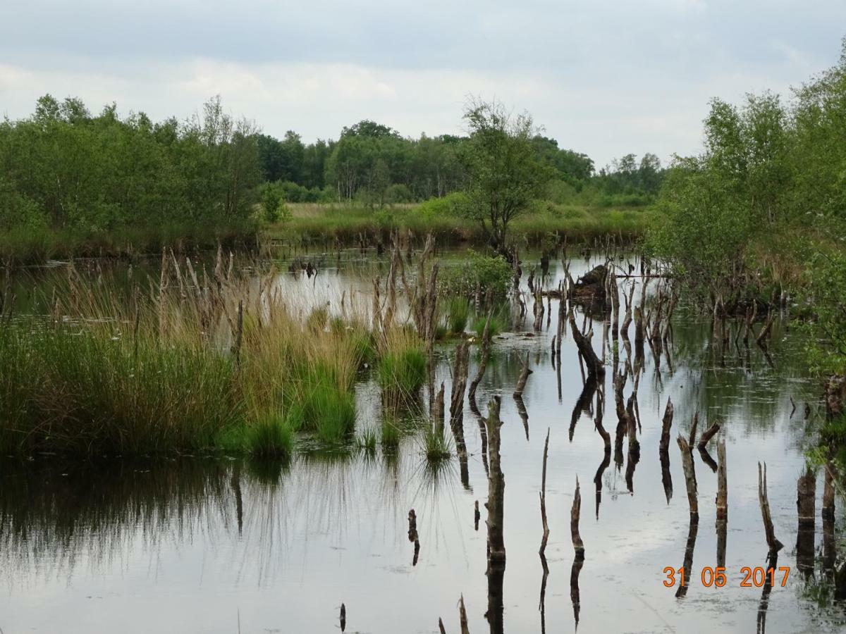 Bed & Breakfast Stichting Veenloopcentrum Weiteveen
